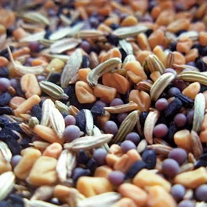 Seeds